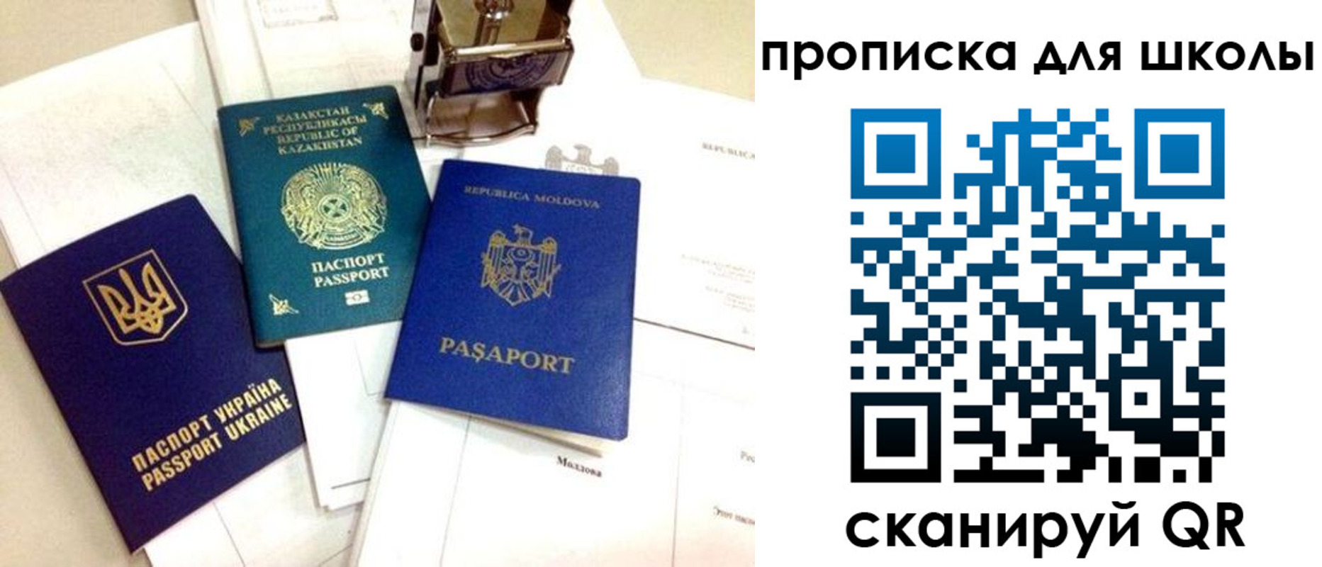 прописка в Павлово